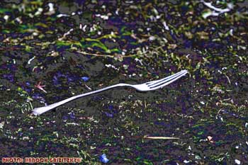 IMG_ (11606a)